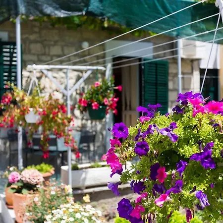 Apartament With Private Garden