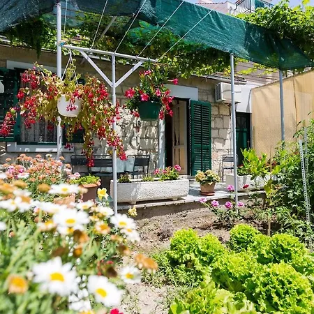 With Private Garden